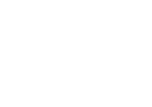 Boomtown Skate Shop